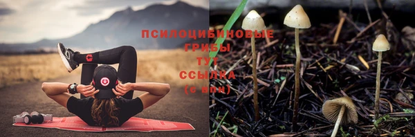 метамфетамин Алзамай