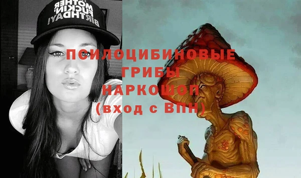 первитин Алексин