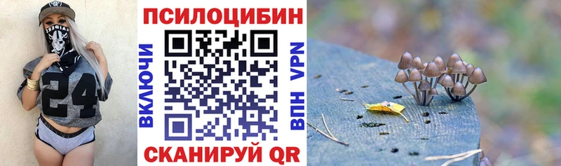 Псилоцибиновые грибы MAGIC MUSHROOMS  OMG ONION  Москва 